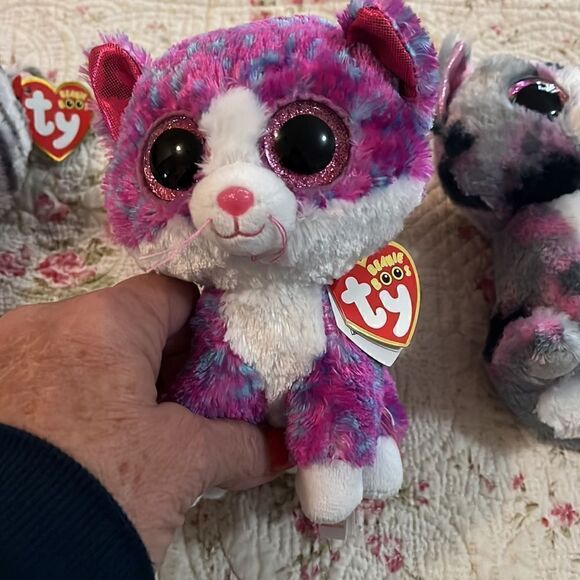 TY cats   - Picture 4 of 5